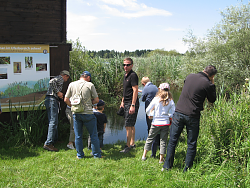 Aussichtsplattform im Ameranger Moor