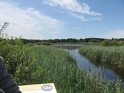 Aussicht ins Ameranger Moor