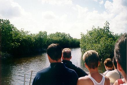 In den Feuchtgebieten der Everglades mit Airboat