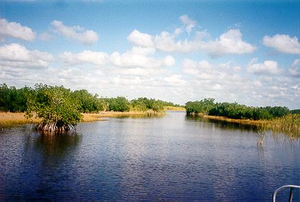 Ausblick auf die Weiten der Everglades