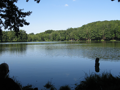 Ausblick auf den kleinen Trebbelsee