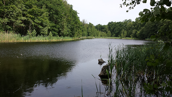 großer See vom östlichen Ufer in Richtung Norden