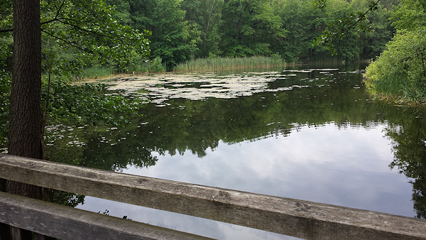 Blick auf das westliche Ufer von der Brücke